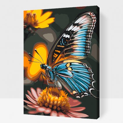 Malování podle čísel - Motýl na květině