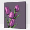 Malování podle čísel - Fialové tulipány