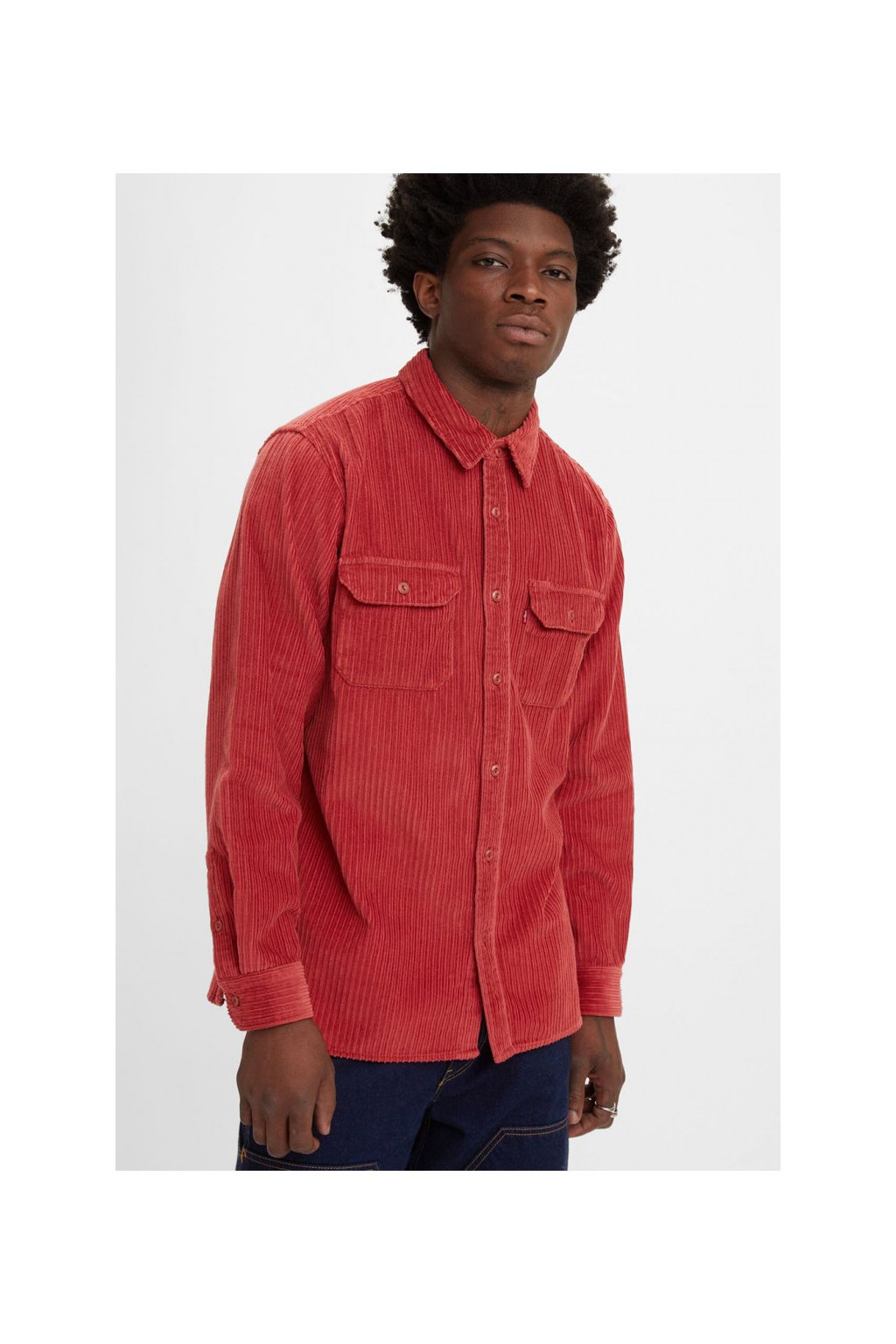 Pánska košeľa LEVI'S® Jackson Worker Shirt 19573-0169