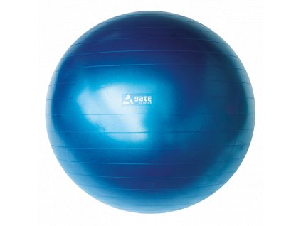 M05047 Gymball 55 cm modra vcetne pumpicky