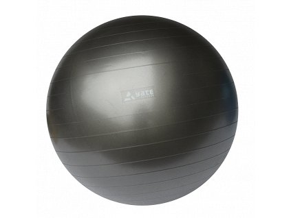 SA04621 Gymball 55 cm seda vcetne pumpicky