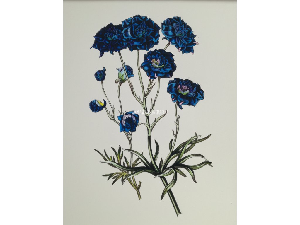 Tisk na uměleckém papíru Květy modré 30 cm x 41 cm
