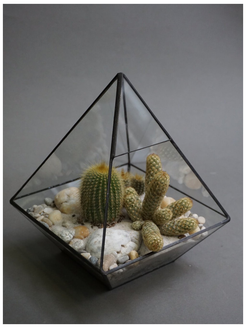 sukulentni florarium pyramida