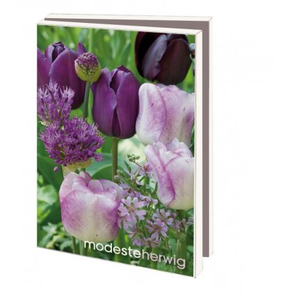 Přání s obálkami ´Tulipány´ - 10 karet s obálkami  Set blahopřání s tulipány
