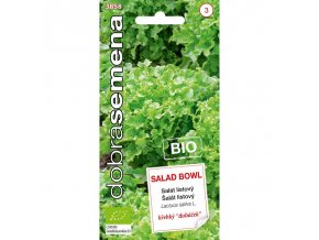 bio salat salad bowl 05 g