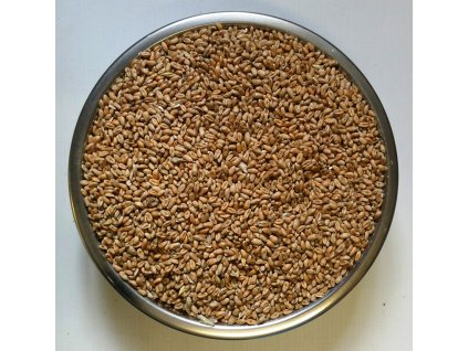 Pšenice krmná zrno krmivo pro drůbež zvěř 25 kg