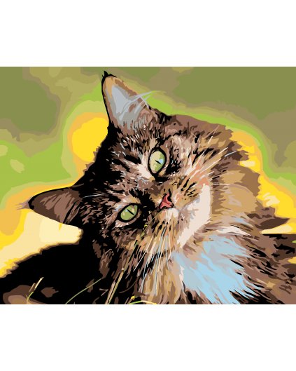 Malowanie po numerach - Pręgowany kot