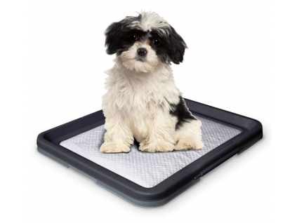 Nobby Doggy Trainer S plastové WC na podložky pro štěňata 48 x 41 x 3,5 cm z kategorie Chovatelské potřeby a krmiva pro psy > Hygiena a kosmetika psa > Toalety a podložky pro psy