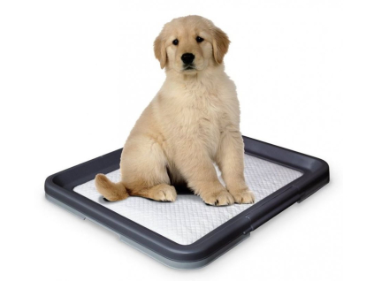 Nobby Doggy Trainer L plastové WC na podložky pro štěňata 62,5 x 48 x 3,8 cm z kategorie Chovatelské potřeby a krmiva pro psy > Hygiena a kosmetika psa > Toalety a podložky pro psy